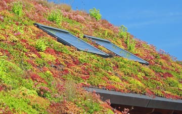 Ruggin living roof systems
