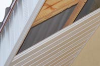 rated Ruggin soffit repair companies
